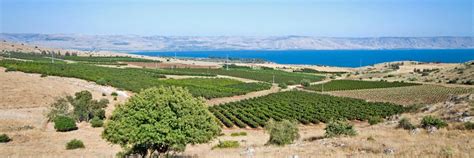 weather amirim|Amirim, Israel 10.